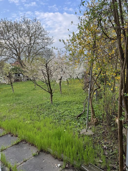 Casa individuala 170mp utili ,teren 900 mp -zona Parcul  Sub Arini