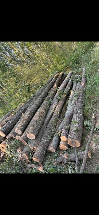 Lemn de foc gros fara farfuri