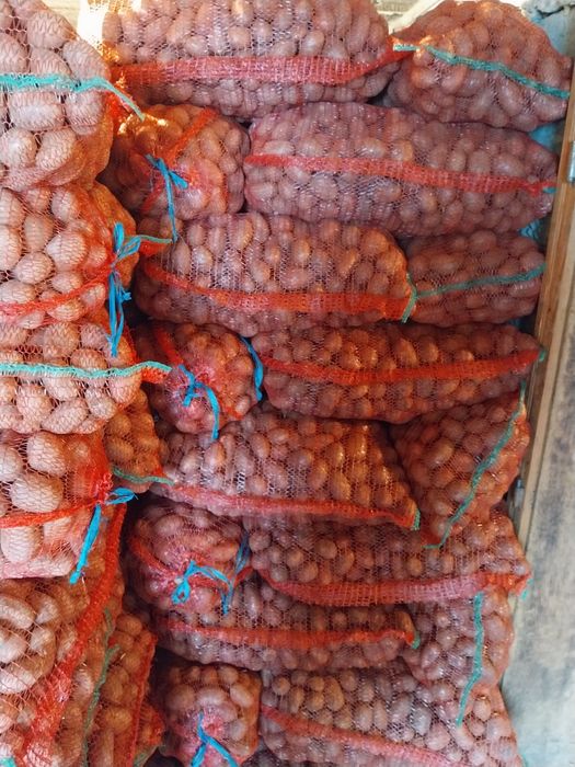 Vând Cartofi samanta