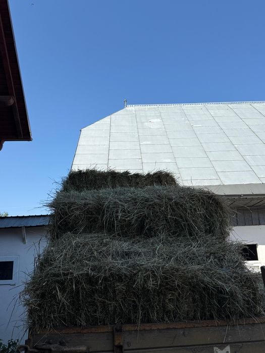 Vând baloți de otavă