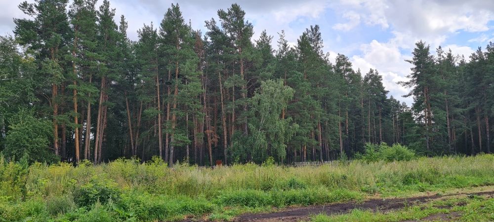 Участок в Лесхозе Буланды