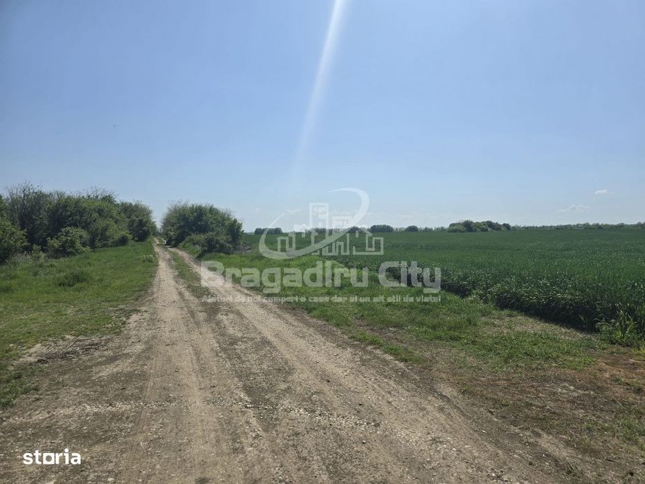 Teren ideal investitie Cornetu granita cu Clinceni