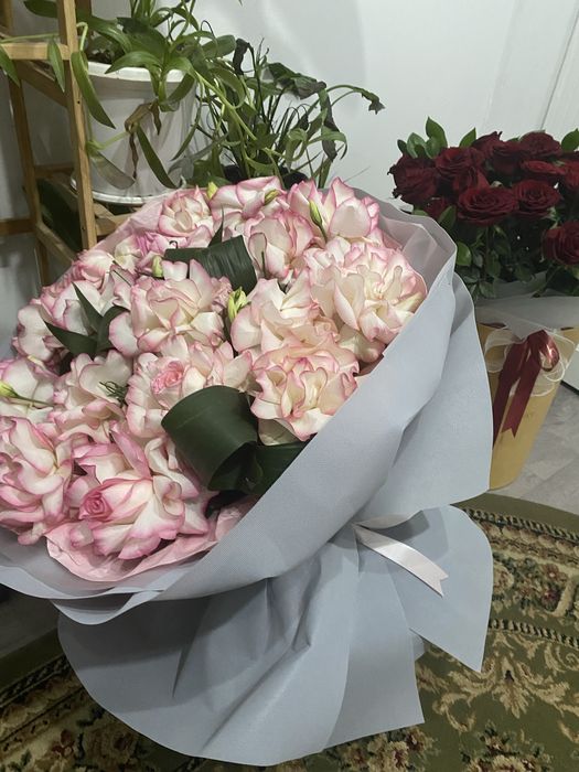 Роза гул состояние хорошая