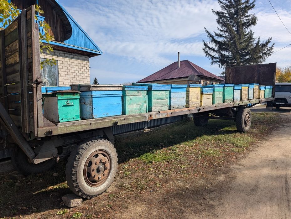 Газ 66 + прицеп + 30 ульев