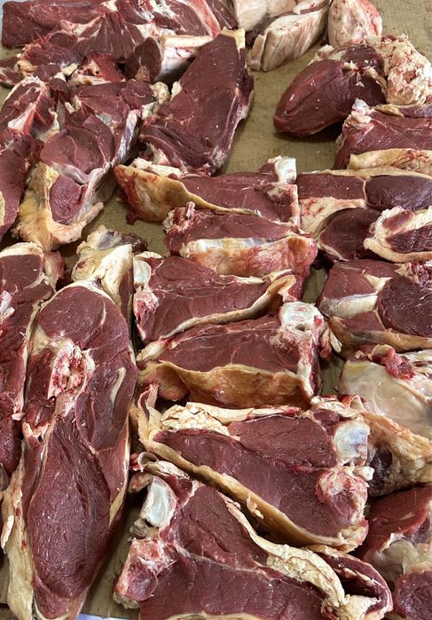 Продам мясо говядина