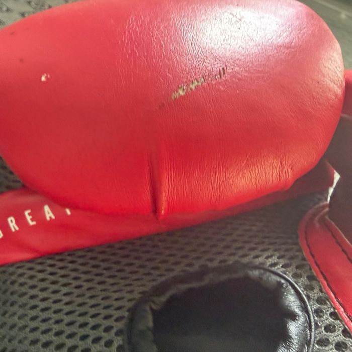 Боксови ръкавици Everlast Elite(with ever shield)