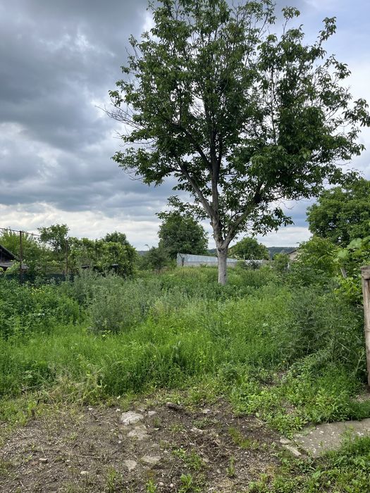 Teren Intravilan in zona  centrala