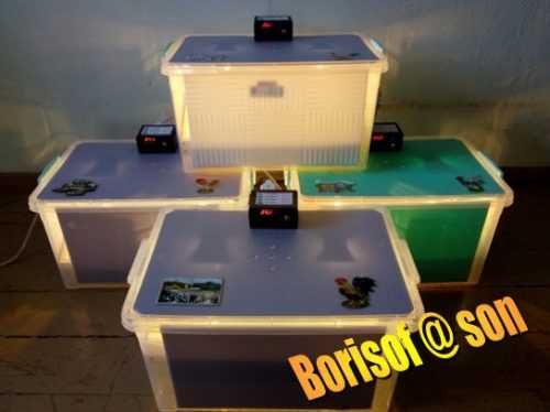 Инкубатори - Сега му е времето!