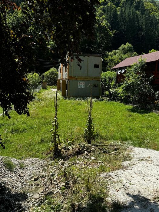 VÂND TEREN 800mp+2 casute de 70 mp În CIUNGET