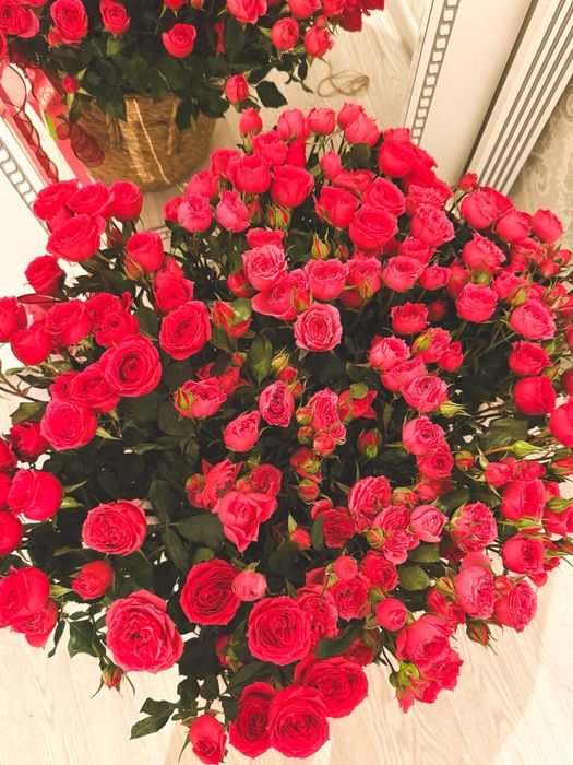 Красивые,нежные цветы,цена:20к