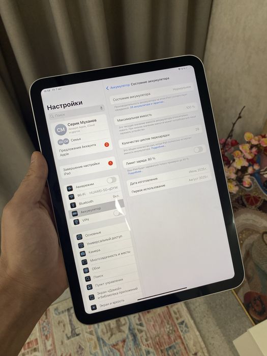 Ipad A16 256gb 100%