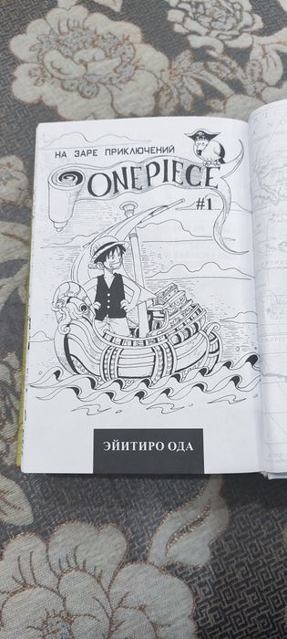 One Piece, 1 Том