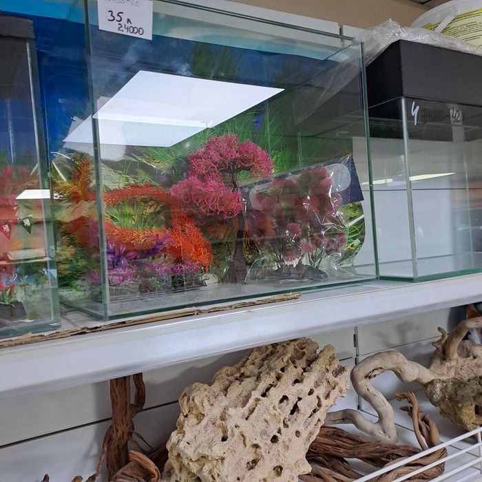 Продам аквариумы новые