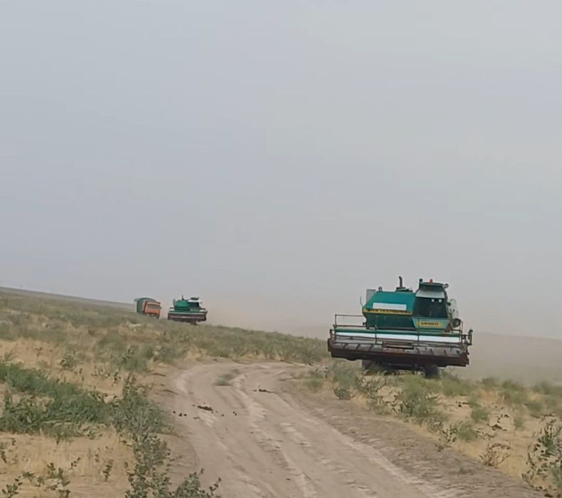 конбаин Нива Эфекті