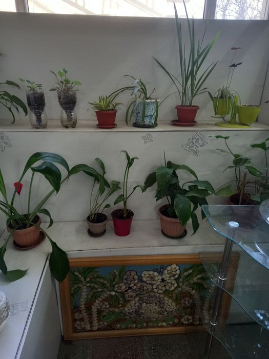 Стеллаж угловой,  полка