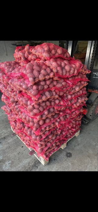 Cartofi consum (Romania)