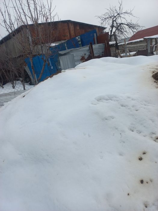 Одам навос даром. Сомавывес.  навос чистый