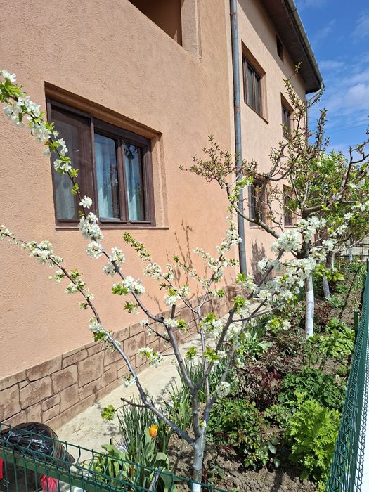 Direct proprietar-Vila de vanzare