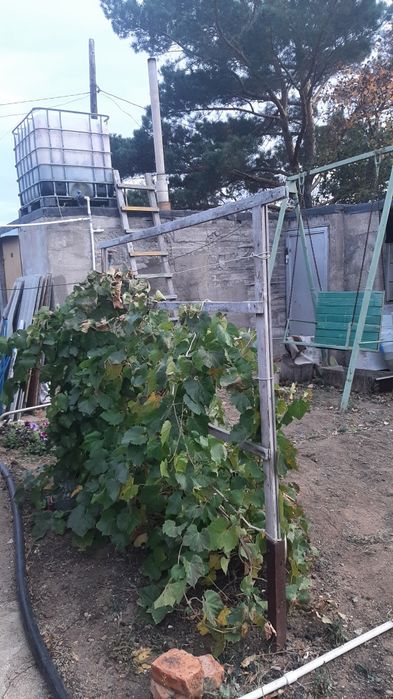 Продаю дачу в обществе ,Каучук,