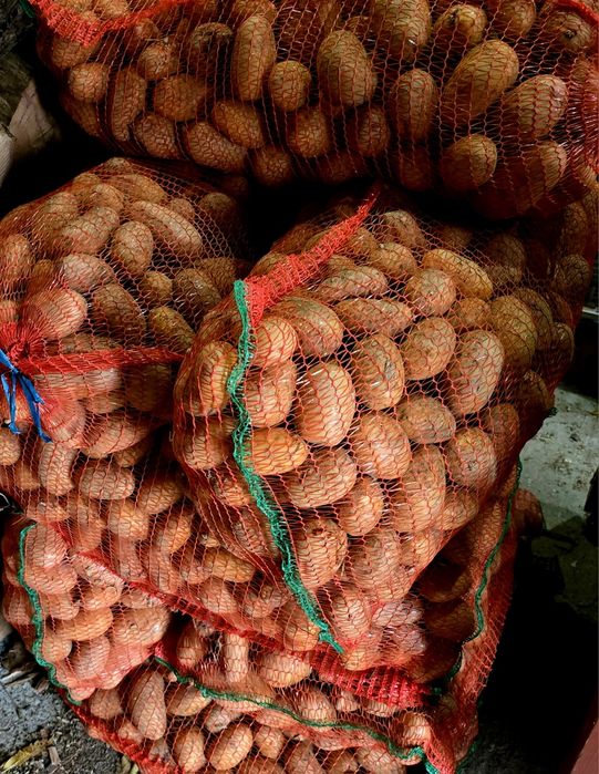 De vanzare - cartofi de consum!