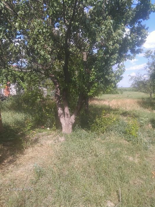 Locuri de casa în sanmartin