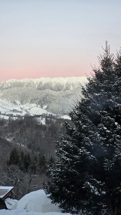OPORTUNITATE Teren cu panoramă 360° – Drumul Carului (DN73), Moieciu