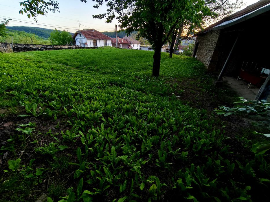 Продава се Парцел в с. Ганчовец, Област Габрово - 2200 кв.м за 19 €/кв.м - Снимка #5