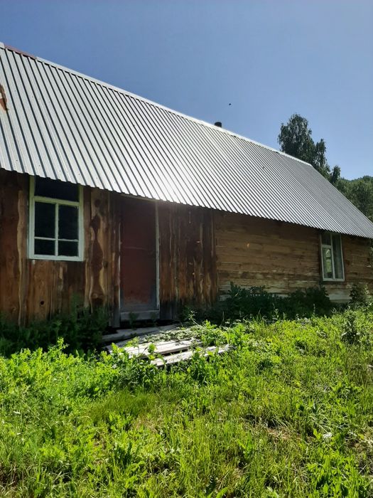 Продам пасеку в .