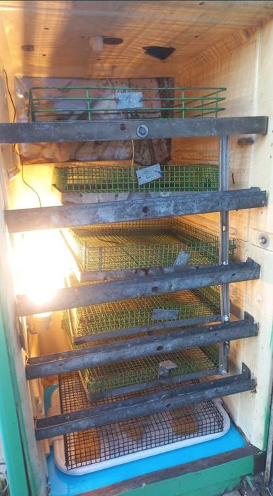 Продам инкубатор на 210 куриных яйц