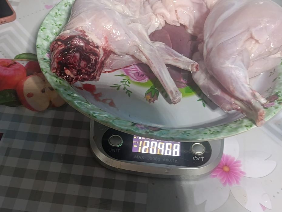 Мясо молодого кролика