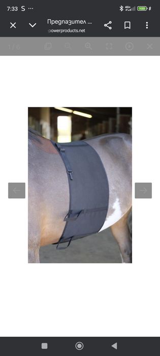 Предпазител за корем за кон