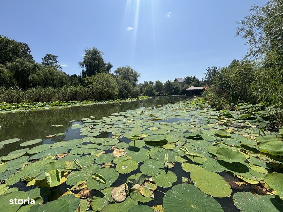 Teren+CASA 8000mp Deschidere 36ml Lacul Snagov