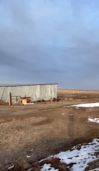 Фазенда сатылады, Дайын кора