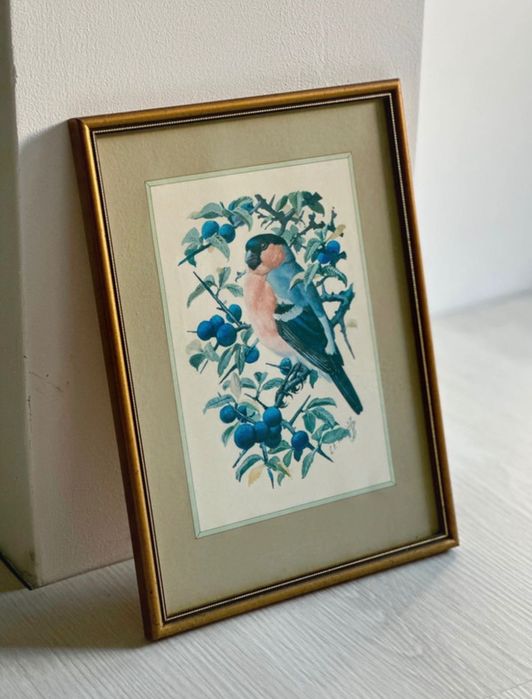 Tablou Vintage cu Pasare semnat C F Tunnicliffe