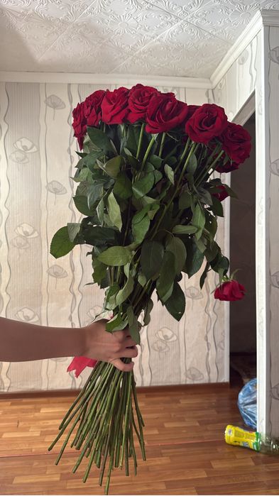 продается цветы Караганда