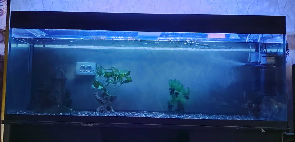 Продаётся Аквариум. 300 литров.