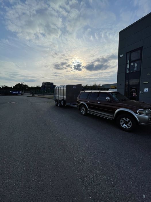 Transport animale vii autorizat Romania