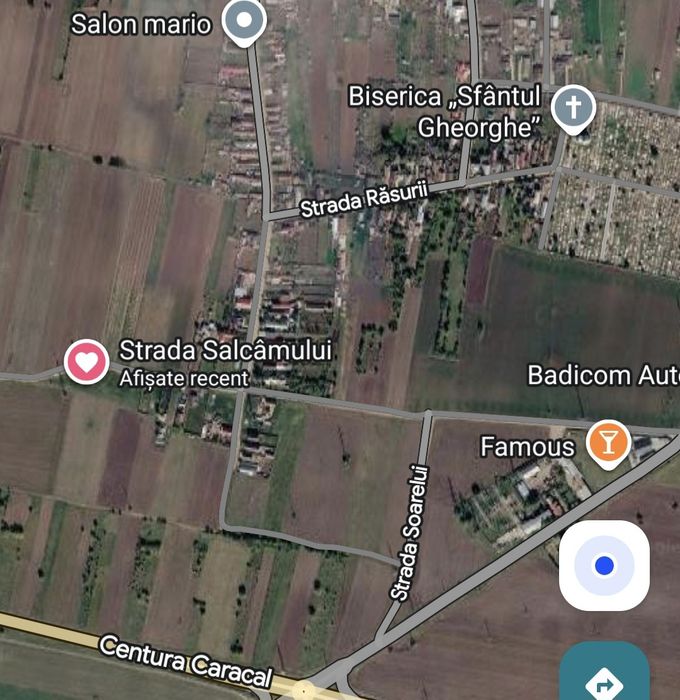 Teren Intravilan 6.000 mp Caracal – Str. Salcâmului / Ideal Cartier Case / Profit Garantat din Parcelare