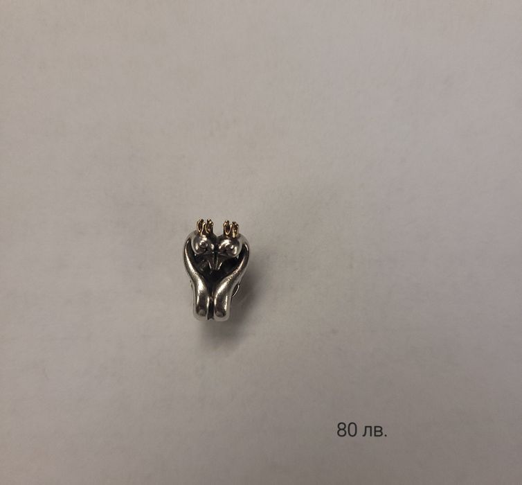 Талисмани за гривна Pandora