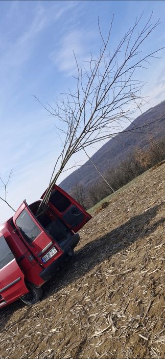 Vand Opel Combo tour 1.6