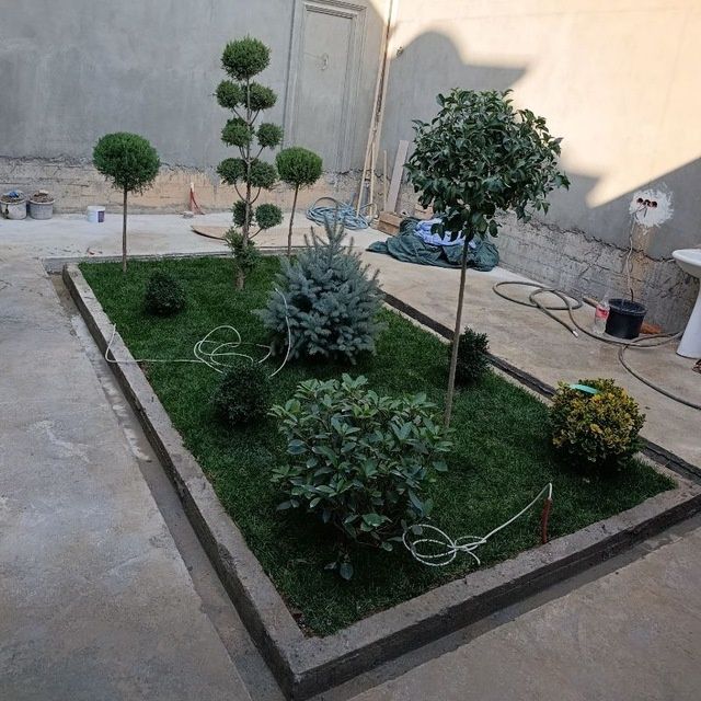 Gazon tayor rulon landshaft dizayni xizmatlar archga forma berishi