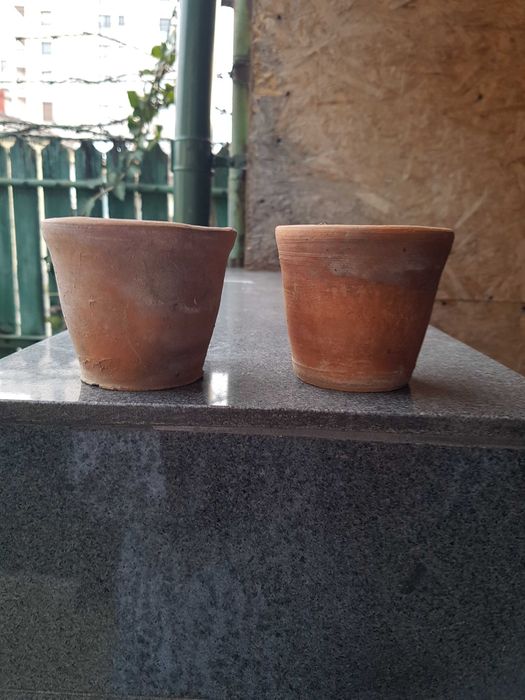 Agricultura   ghivece pentru rasaduri