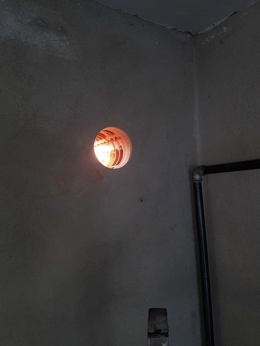 Gaura hota, gaura centrală, Lugoj