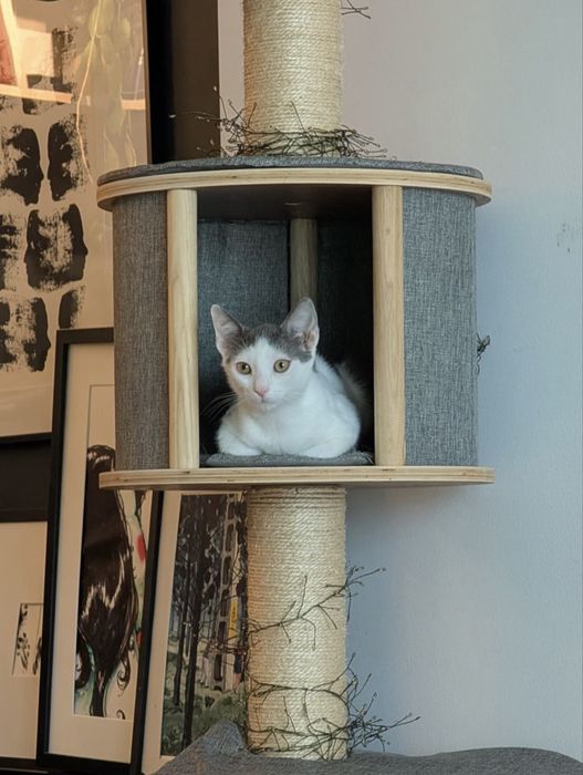 Adoptie - 3 frati wow, ne cautam omul (impreuna sau separat)