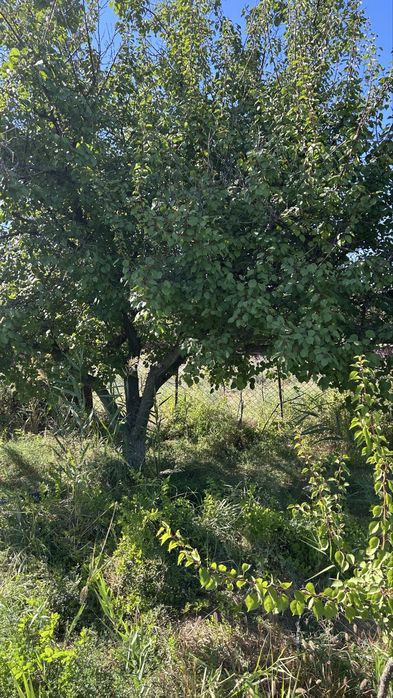 Продается большая дача