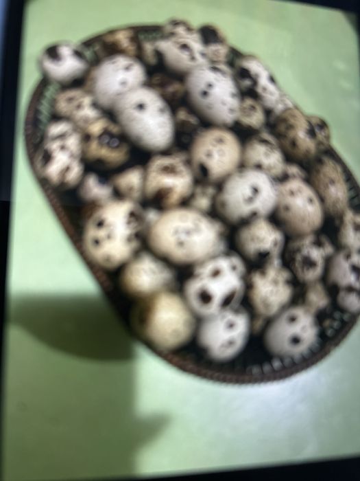 Подпишись на этот номер???