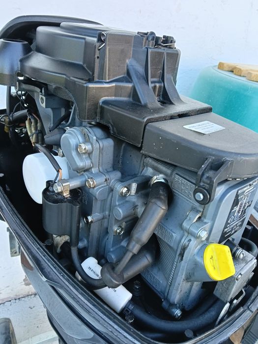 Barca TRIMARAN cu motor MERCURY
