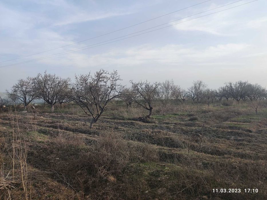 Hovli uy qo'shimcha bog'i bilan