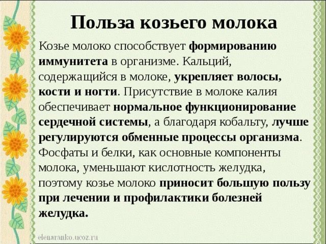 Пайдалы ешкі сүті - натуральное козье молоко