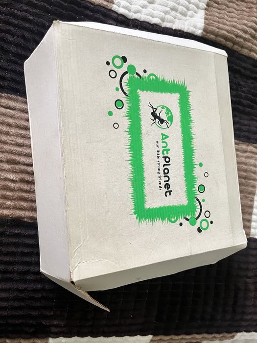 Продам муравьиную ферму